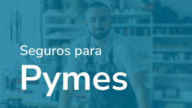 Seguro para pymes economico